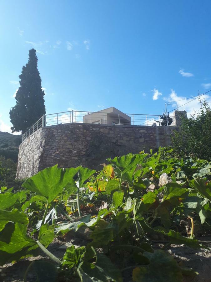 Villa Irini - Cretan Luxury Villa With Amazing View Paraspori  Exterior photo